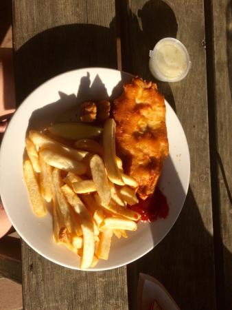 Triabunna TAS Internet Find