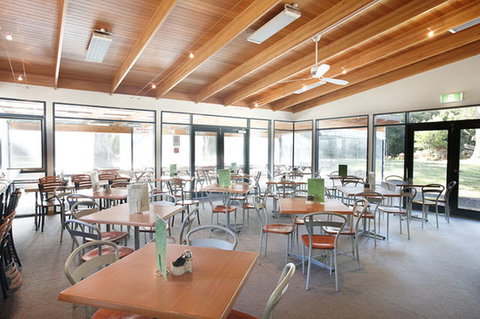 Waterfalls Cafe And Gallery - Renee 0