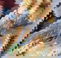 Essence Cafe - Qld Realsetate