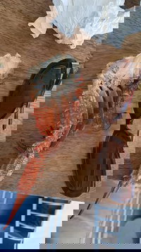 Business in Hillarys WA Swimm Swimm