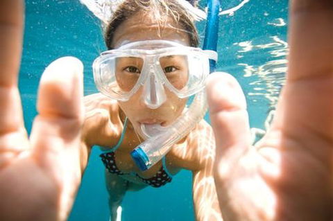 Let’s Go Adventures–Dive Nelson Bay - Internet Find 2
