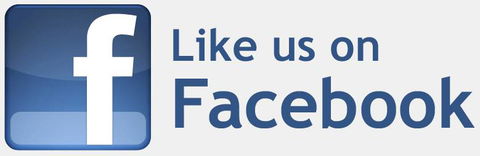 Easy Loans Pty Ltd - Renee 1