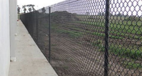 Green Steel - Renee 4