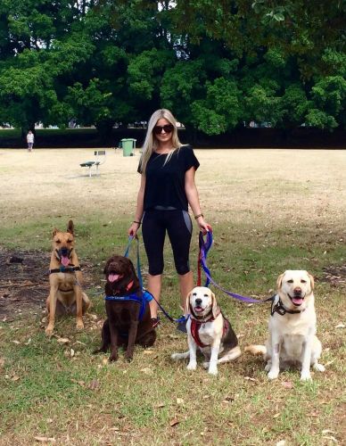 Aloha K9 Services Dog Grooming & Training - Renee 2