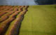 Earl’s Turf Supplies - thumb 1