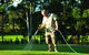 Earl’s Turf Supplies - thumb 2