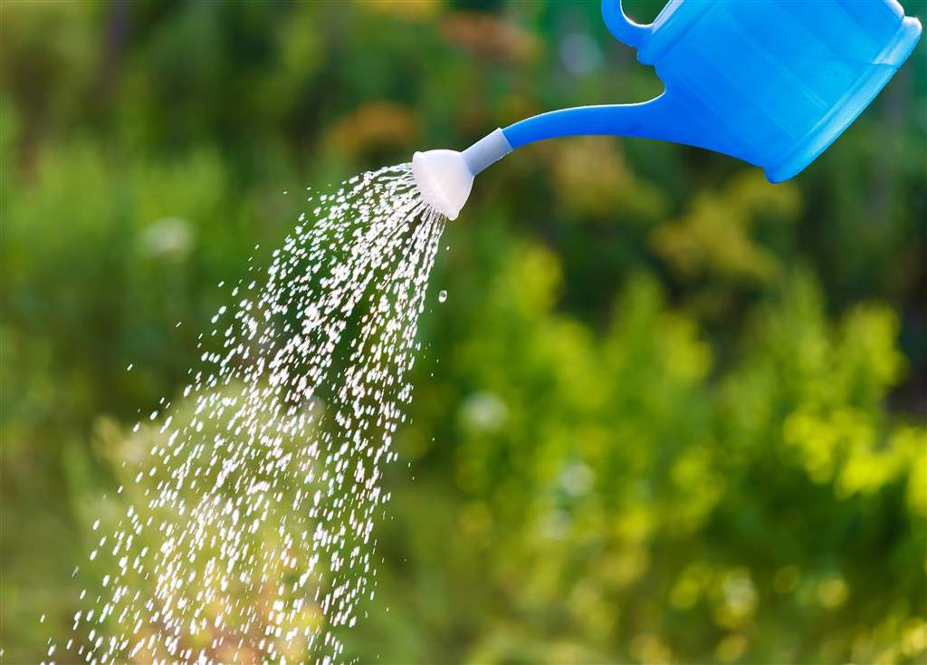 Hot Water Systems Taree NSW Renee