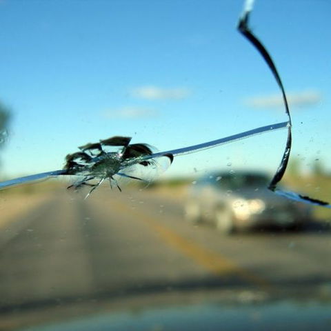 Mid North Coast Windscreens - Renee 3