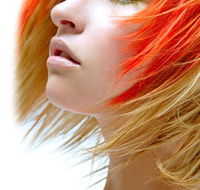 South Street Salon - Renee