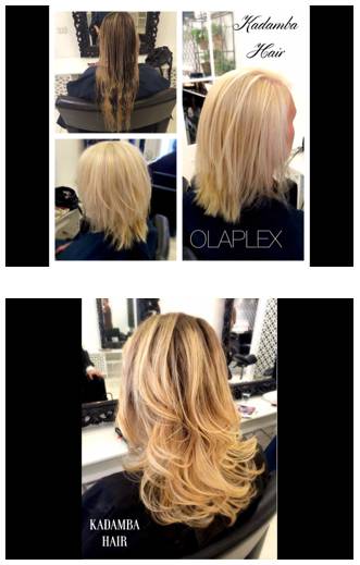 Kadamba Hairdressing Eco Salon - Qld Realsetate 2