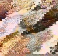 Little Lamonts - Renee