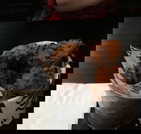 Bump in Burgers - Renee