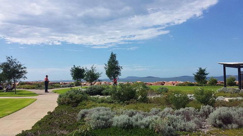 Coffee Cat - Internet Find 0