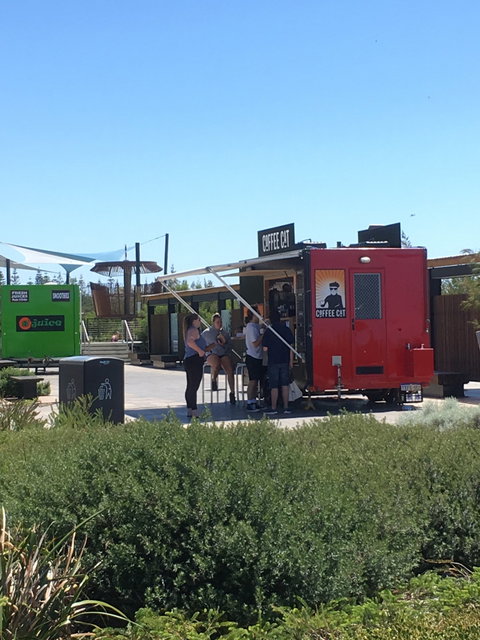 Coffee Cat - Internet Find 6