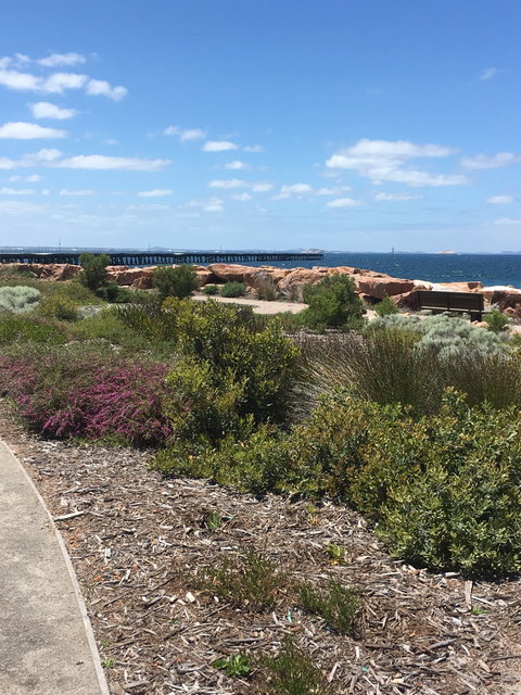 Coffee Cat - Internet Find 8