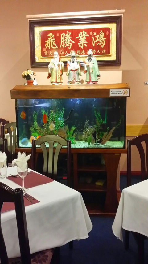 Dunsborough Chinese Restaurant - Renee 4