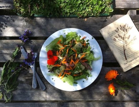 Fair Harvest Farm Cafe - Renee 0