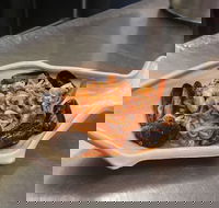 Mamma Mia Trattoria - Internet Find