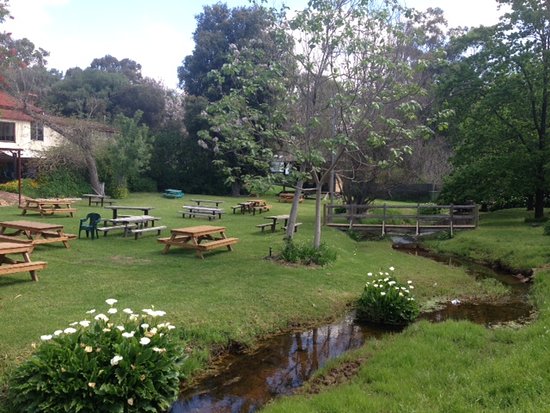 Mount Helena WA Swimm