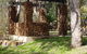 Naked Apple Cider House - thumb 6