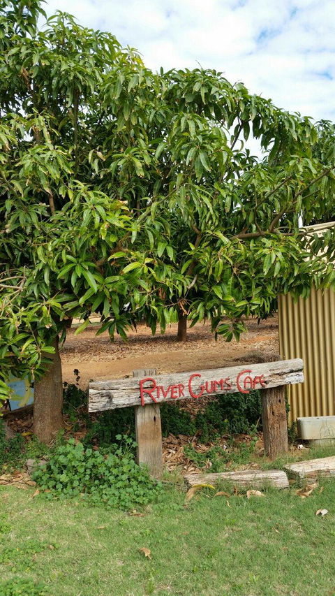 River Gums Cafe - Renee 1