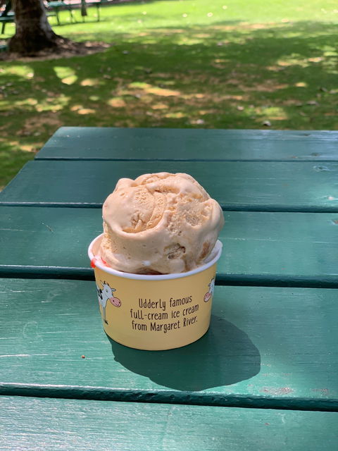 Simmo's Icecreamery - Renee 1