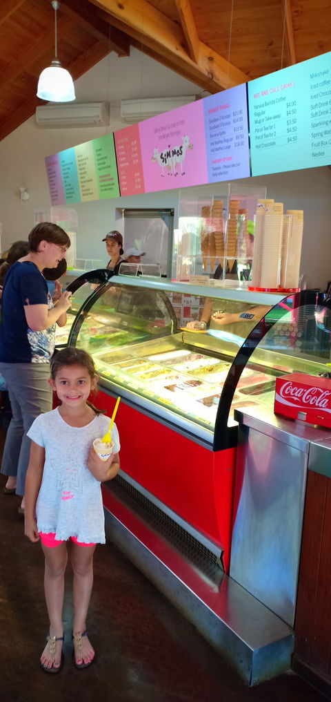 Simmo's Icecreamery - Renee 3