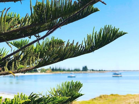 Taylor St Quarters - Internet Find 0