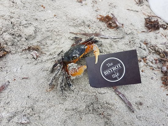 Food Delivery Bibra Lake WA Swimm