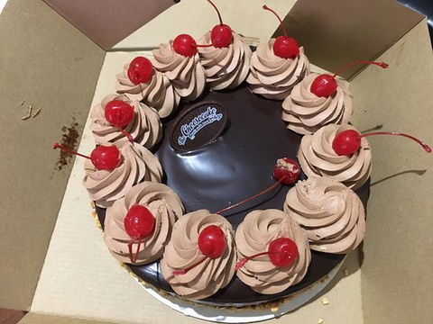 The Cheesecake Shop - Renee 0