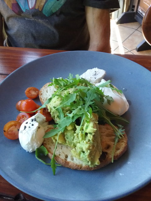 The Zookeepers Store - Internet Find 1