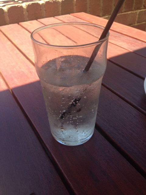 Ye Olde Narrogin Inne - Renee 1