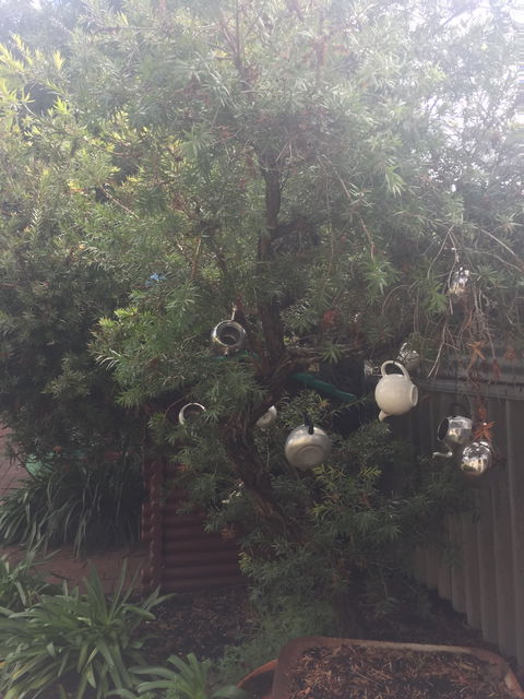 Dwellingup Blue Wren Cafe - Internet Find 5