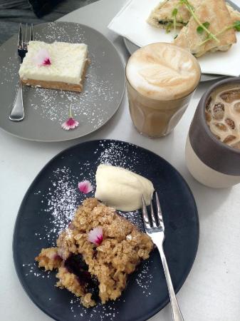 Frisky Deer Interiors And Cafe - Qld Realsetate 0