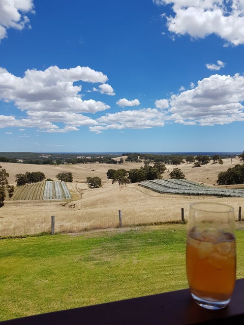 Green Door Winery & Cafe - Swimm 2