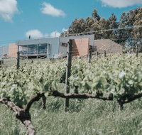 Green Door Winery Cafe - Swimm