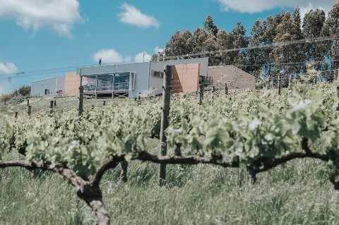 Green Door Winery & Cafe - Swimm 0