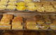 Halls Creek Bakery - thumb 0