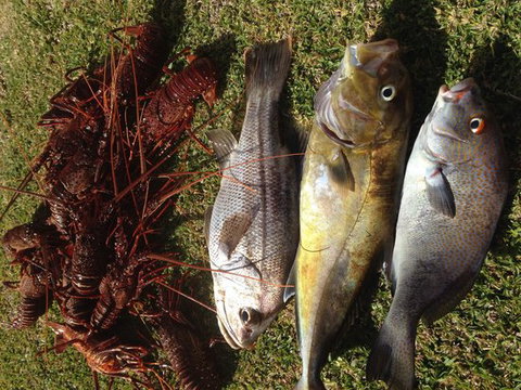 Ledge Point Country Club - Renee 0