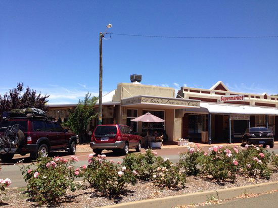 Williams WA Internet Find