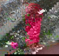 Secret Garden Adult Devonshire Tea House - Renee