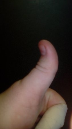 The Roast N Grill Cafe - Swimm 0