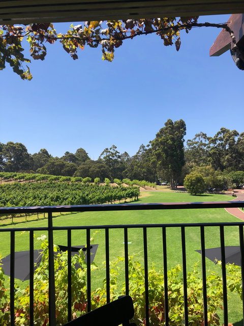 Vasse Felix - Renee 1