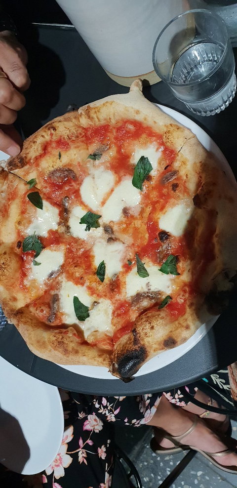 Anchovy Bandit - Swimm 5