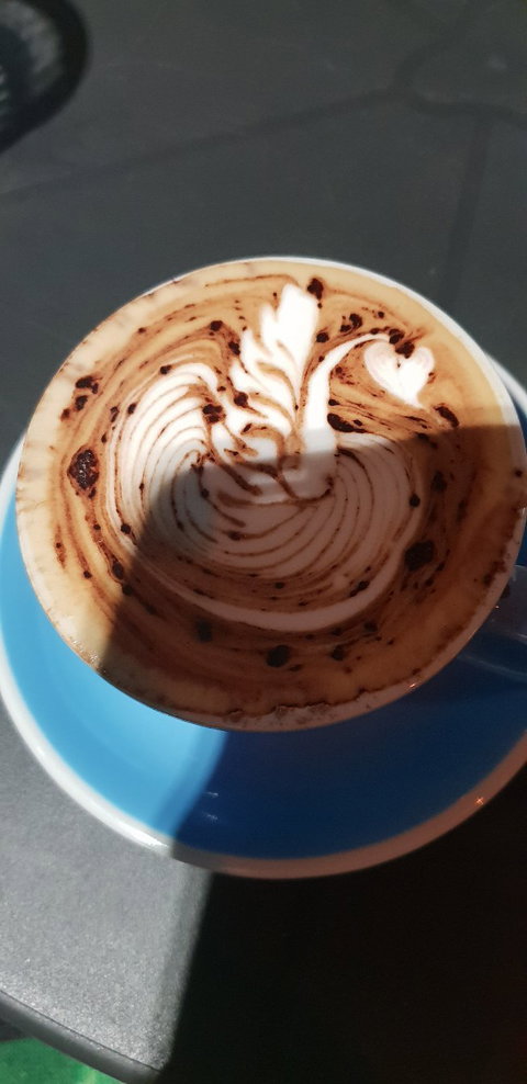 Anchovy Bandit - Swimm 6