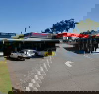 Fresh N Yummy - Swimm