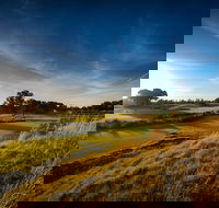 Pinehill Bistro - Swimm