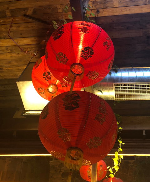 Sunny's Shop - Renee 10