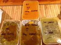 Surya Indian Cuisine