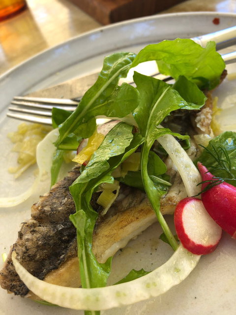 FINO Seppeltsfield - Renee 1